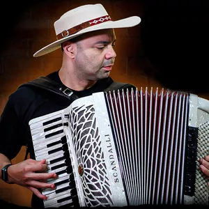 Imagem de capa para o Curso online ACORDEON DO ZERO