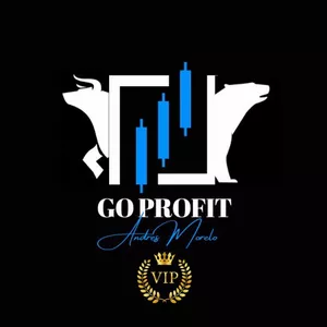 Imagen de portada para Curso online Go Profit VIP - Propio