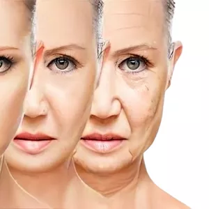 Imagen de portada para Curso online Epigenética y envejecimiento cutáneo