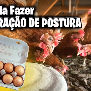 Imagem de capa para o Ebook APRENDA COMO FAZER RAÇÃO DE POSTURA PARA POEDEIRAS