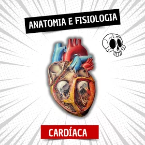 Imagem do curso Anatomia e Fisiologia Cardíaca