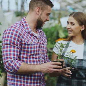 Imagen de portada para Curso online Impulsa tu Pyme con Asesoramiento Profesional Online