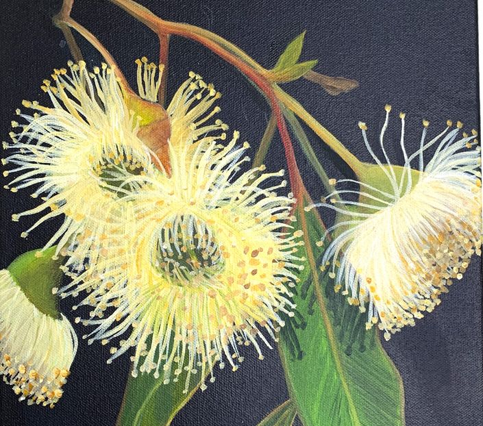 Australian Gum Flower in Acrylics