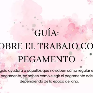 Imagen de portada para Curso online GUIA SOBRE EL TRABAJO CON PEGAMENTO