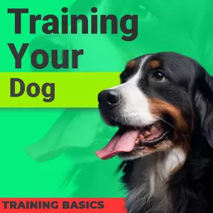 Cover image for Ebook Training Your Dog