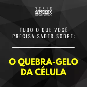 Imagem de capa para o Curso online Kit Quebra-Gelo: Manual + Vídeos