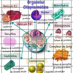 Imagem de capa para o Ebook Caça ao tesouro - Célula
