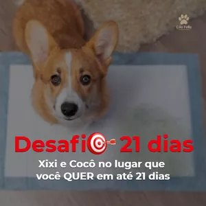 Imagem de capa para o Curso online XIXI e COCÔ no lugar que você QUER em até 21 DIAS