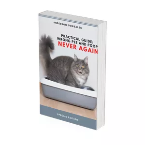 Cover image for Ebook PRACTICAL GUIDE: WRONG PEE OR POOP NEVER AGAIN!