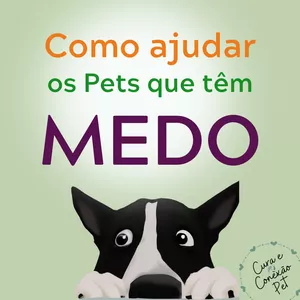 Imagem de capa para o Curso online Com ajudar os Pets que têm Medo