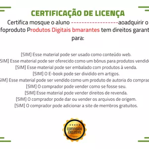 Imagem de capa para o Curso online LICENÇA PARA PRODUTOS DIGITAIS