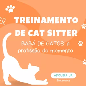 Imagem de capa para o Curso online TREINAMENTO DE CAT SITTER 