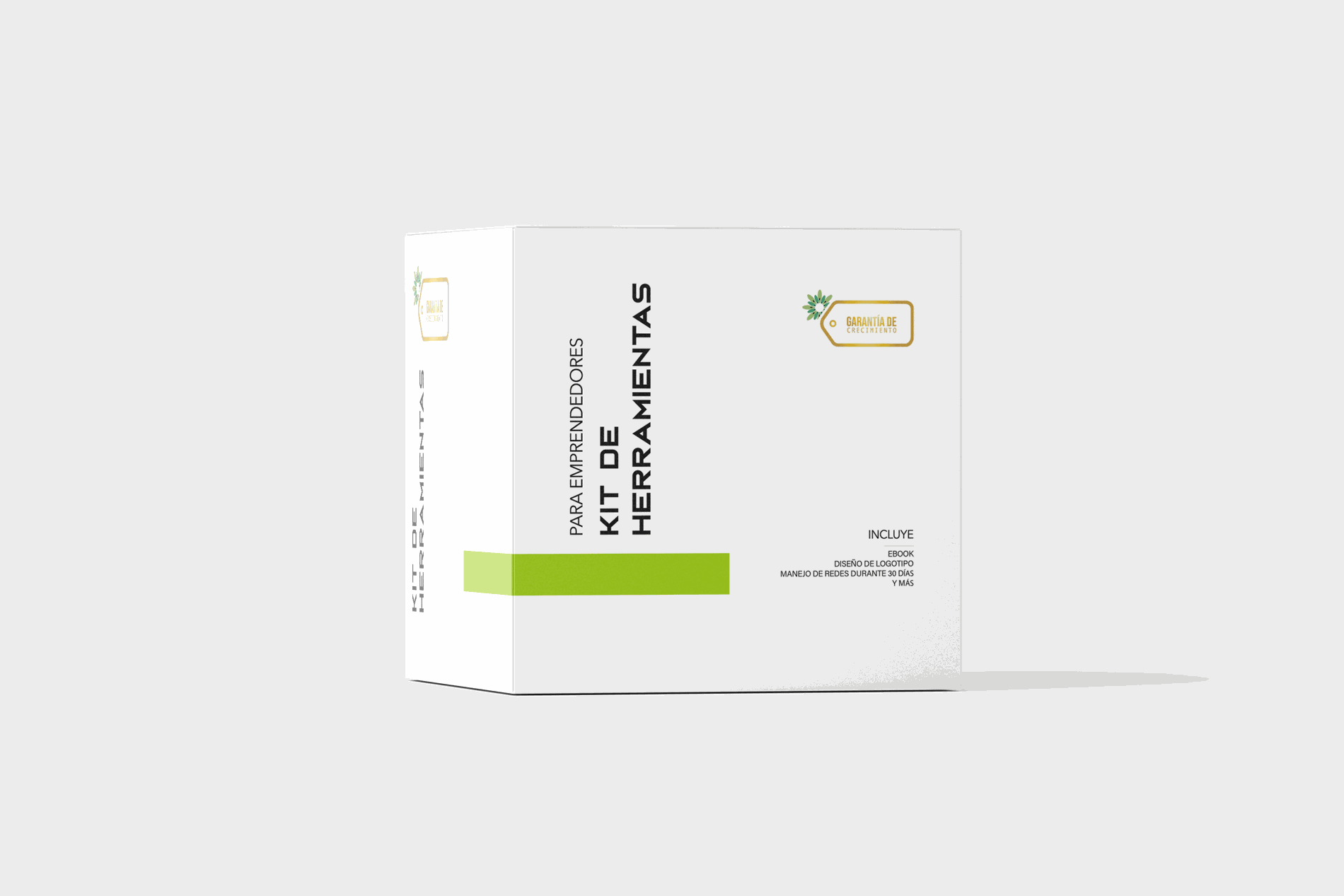 Kit de Herramientas para Emprendedores: Ebook + 30 días de diseño gráfico gratis