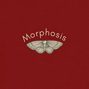Imagem principal do produto Cursoria Morphosis