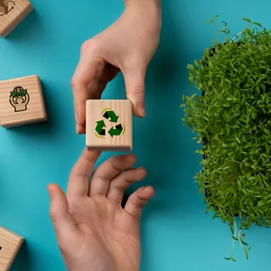 Imagem do curso Práticas Educativas de Sustentabilidade