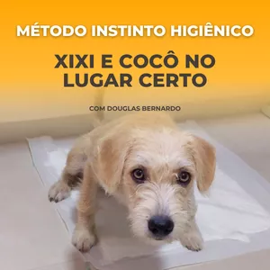 Imagem de Xixi e Cocô no Lugar Certo - Método Instinto Higiênico criado por Douglas Bernardo Adestrador na hotmart