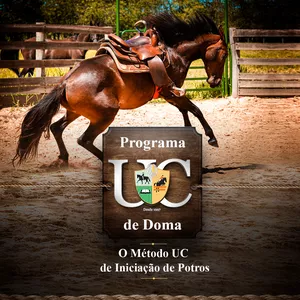 Imagem de capa para o Curso online Programa UC de Doma