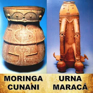 Imagem de capa para o Curso online Maracá e Cunani TEA - Kit de Jogos de quebra-cabeça e de memória