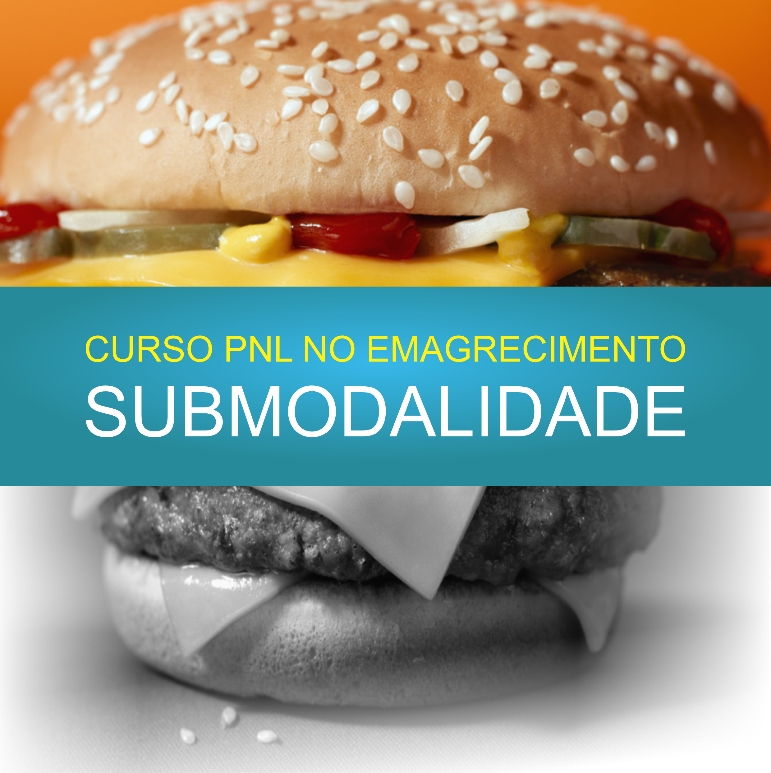 Capa do curso 