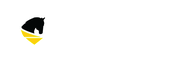 HORSE MASTERY COURSES