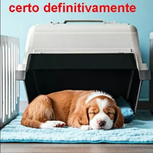 Imagem de capa para o Ebook Safe Zone:  Fazer xixi e cocô certo definitivamente