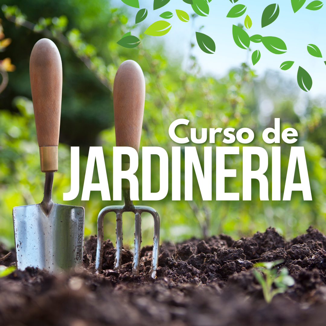 Curso Jardinería