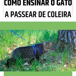 Imagem de capa para o Ebook Como ensinar o gato a passear de coleira: um guia completo