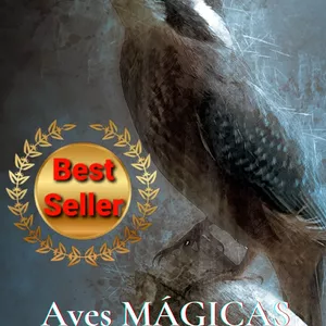 Imagen de portada para Ebook AVES MAGICAS