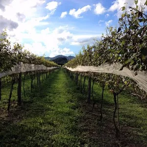 Imagen de portada para Curso online El Legado 2.0