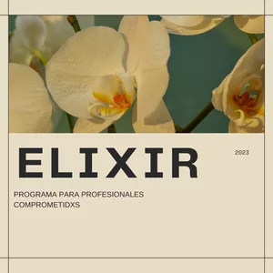 Imagen de portada para Curso online ELIXIR
