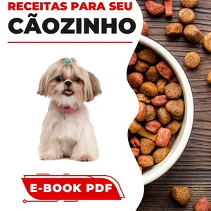 Imagem de capa para o Ebook 100 Receitas de Comida para seu Cachorro