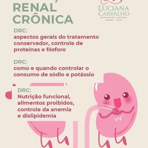 Imagem principal do produto COLEÇÃO (livro 1, 2 e 3) - Nutrição e doença renal crônica