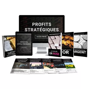 Image de couverture pour le Cours en ligne Profits Stratégiques 