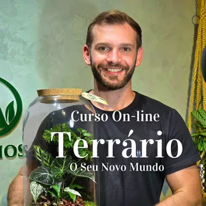 Imagem de capa para o Curso online Terrário : O Seu Novo Mundo.