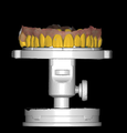 KOIS STUDY CLUB logo