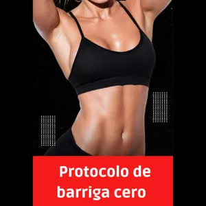 Imagen de portada para Ebook PROTOCOLO VIENTRE CERO