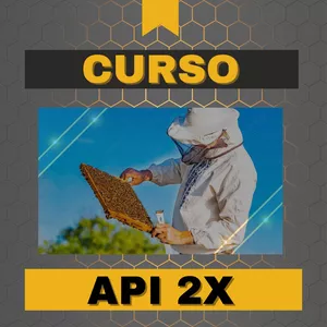 Imagen de portada para Curso online CURSO API 2X