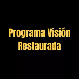 Imagen de portada para Ebook Programa Visión Restaurada