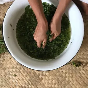 Imagem de capa para o Ebook Ervas e banhos