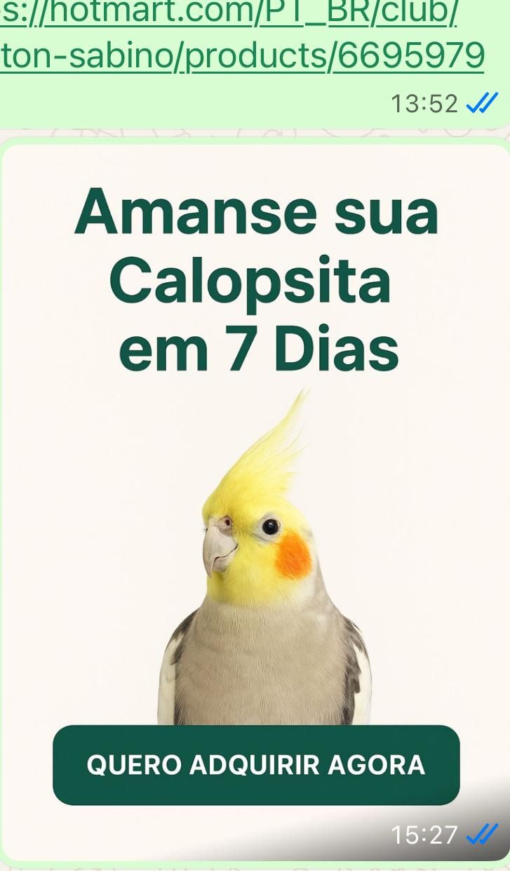Imagem do curso COMO AMANSAR A SUA CALOPSITA EM 7 DIAS