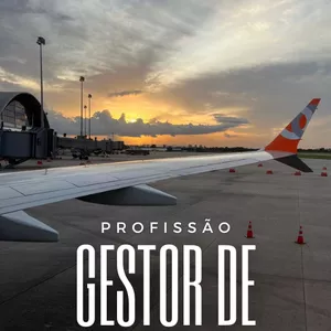 Imagem de capa para o Ebook Profissão Gestor de Milhas