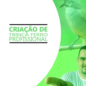 Imagem principal do produto CURSO DE CRIAÇÃO DE TRINCA FERRO PROFISSIONAL (LIVRO)