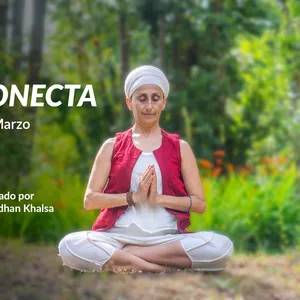 Imagen de portada para Curso online Re-conecta - Online