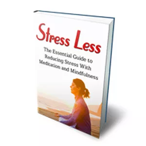 Cover image for Ebook Stress Less