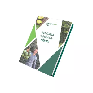 Imagem de capa para o Ebook Guia Prático da Produção de Abacate