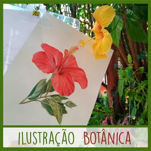Imagem de Ilustração Botânica criado por Albano Arte na hotmart