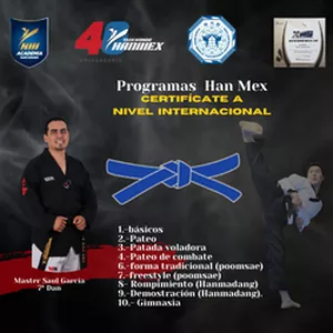 Imagen de portada para Curso online Taekwondo Han Mex Cinta Azul 