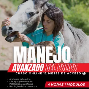 Imagen de portada para Curso online Manejo Avanzado del Colico Equino
