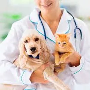 Imagem do curso Auxiliar de Veterinário
