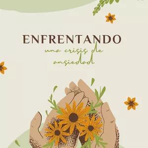 Imagen de portada para Ebook ENFRENTANDO LA ANSIEDAD